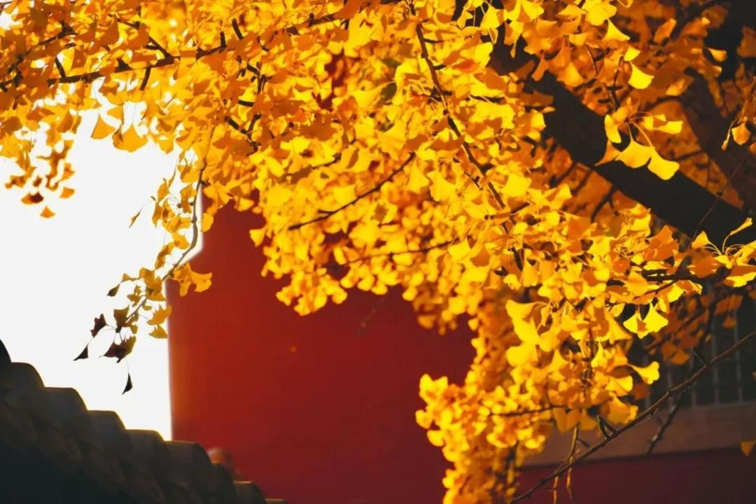 The East Hotel-Very Close To The Drum Tower,The Lama Temple,Houhai Bar Street,And The Forbidden City,There Are Many Old Beijing Traditional Hutongs Around The Hotel ,Experience The Culture Of Old Beijing Hutongs,Near Exit A Of Shichahai On Metro Line Zewnętrze zdjęcie